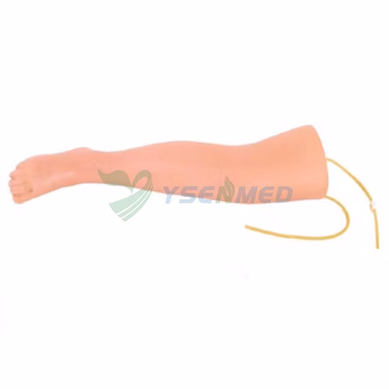 독특한 모양 섬세한 테이블 다리 소파 다리 가구 하드웨어 액세서리 모델 SL